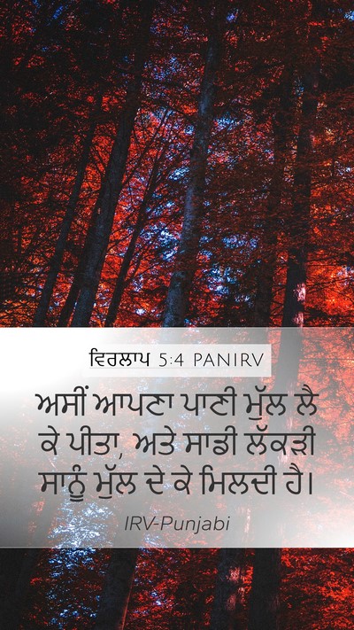 ਵਿਰਲਾਪ 5:4 PANIRV Bible Verse Image
