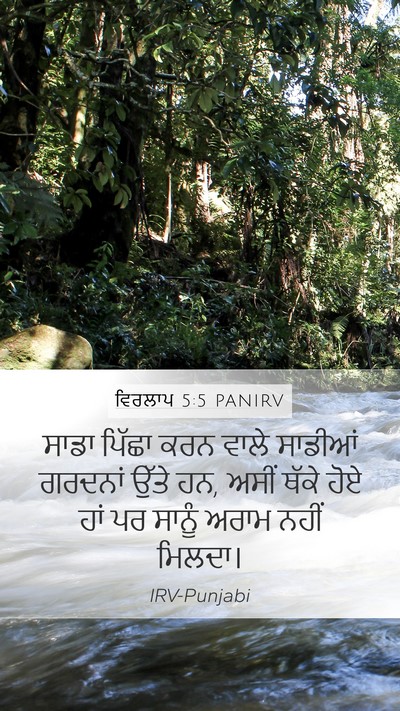 ਵਿਰਲਾਪ 5:5 PANIRV Bible Verse Image