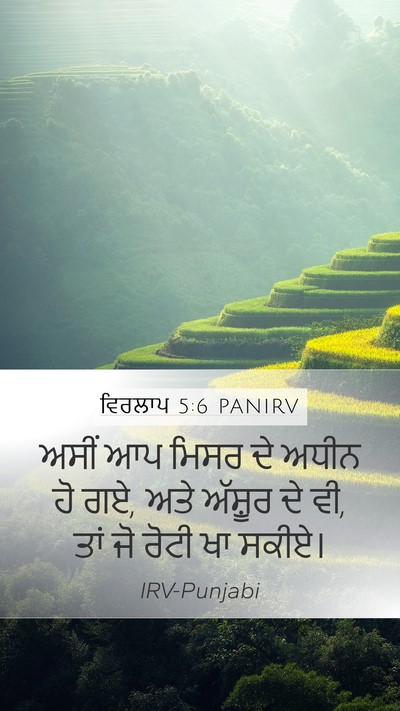 ਵਿਰਲਾਪ 5:6 PANIRV Bible Verse Image