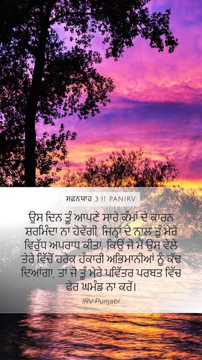ਸਫ਼ਨਯਾਹ 3:11 PANIRV Bible Verse Image