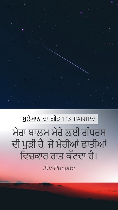 ਸੁਲੇਮਾਨ ਦਾ ਗੀਤ 1:13 PANIRV Bible Verse Image