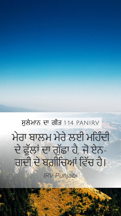 ਸੁਲੇਮਾਨ ਦਾ ਗੀਤ 1:14 PANIRV Bible Verse Image