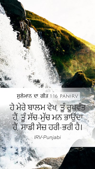 ਸੁਲੇਮਾਨ ਦਾ ਗੀਤ 1:16 PANIRV Bible Verse Image
