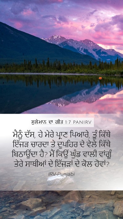 ਸੁਲੇਮਾਨ ਦਾ ਗੀਤ 1:7 PANIRV Bible Verse Image
