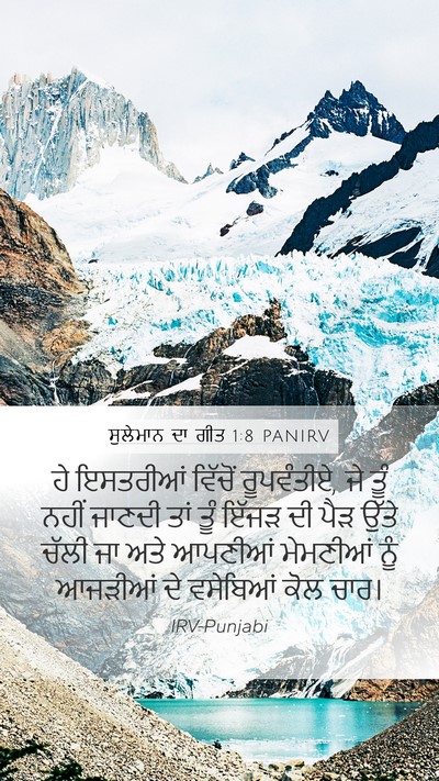 ਸੁਲੇਮਾਨ ਦਾ ਗੀਤ 1:8 PANIRV Bible Verse Image