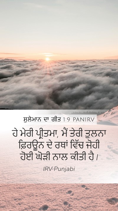 ਸੁਲੇਮਾਨ ਦਾ ਗੀਤ 1:9 PANIRV Bible Verse Image