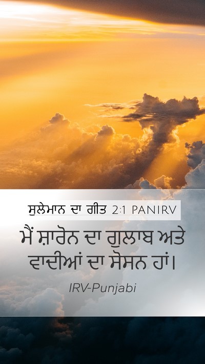 ਸੁਲੇਮਾਨ ਦਾ ਗੀਤ 2:1 PANIRV Bible Verse Image