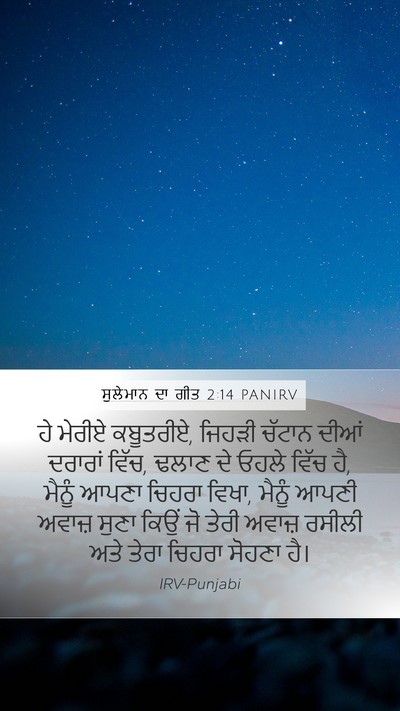 ਸੁਲੇਮਾਨ ਦਾ ਗੀਤ 2:14 PANIRV Bible Verse Image