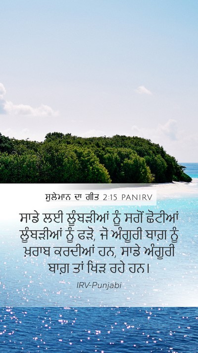 ਸੁਲੇਮਾਨ ਦਾ ਗੀਤ 2:15 PANIRV Mobile Phone Wallpaper - ਸਾਡੇ ਲਈ ਲੂੰਬੜੀਆਂ - Mobile Bible Verse Wallpaper