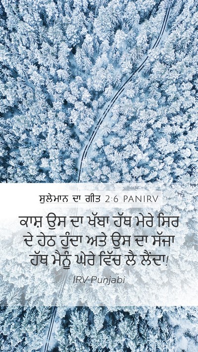 ਸੁਲੇਮਾਨ ਦਾ ਗੀਤ 2:6 PANIRV Bible Verse Image
