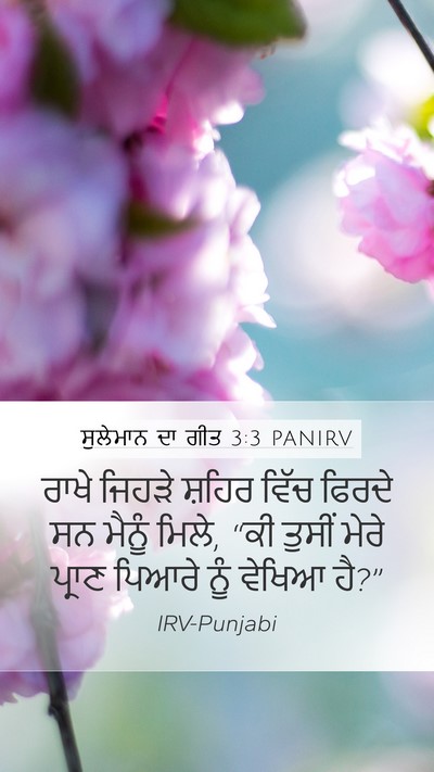 ਸੁਲੇਮਾਨ ਦਾ ਗੀਤ 3:3 PANIRV Mobile Phone Wallpaper - ਰਾਖੇ ਜਿਹੜੇ ਸ਼ਹਿਰ - Mobile Bible Verse Wallpaper