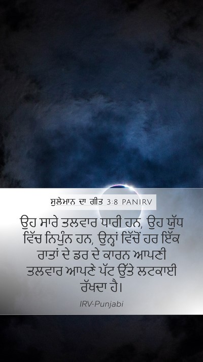 ਸੁਲੇਮਾਨ ਦਾ ਗੀਤ 3:8 PANIRV Mobile Phone Wallpaper - ਉਹ ਸਾਰੇ ਤਲਵਾਰ ਧਾਰੀ - Mobile Bible Verse Wallpaper