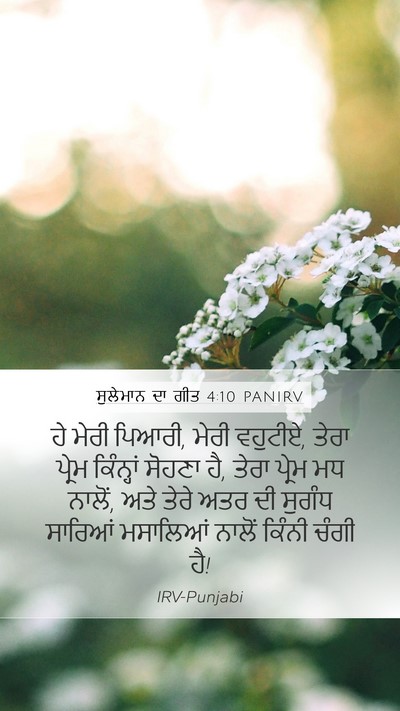 ਸੁਲੇਮਾਨ ਦਾ ਗੀਤ 4:10 PANIRV Bible Verse Image
