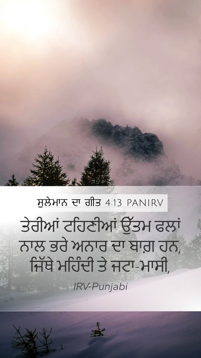 ਸੁਲੇਮਾਨ ਦਾ ਗੀਤ 4:13 PANIRV Bible Verse Image