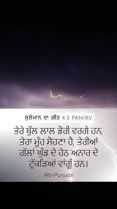 ਸੁਲੇਮਾਨ ਦਾ ਗੀਤ 4:3 PANIRV Bible Verse Image