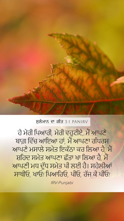 ਸੁਲੇਮਾਨ ਦਾ ਗੀਤ 5:1 PANIRV Bible Verse Image