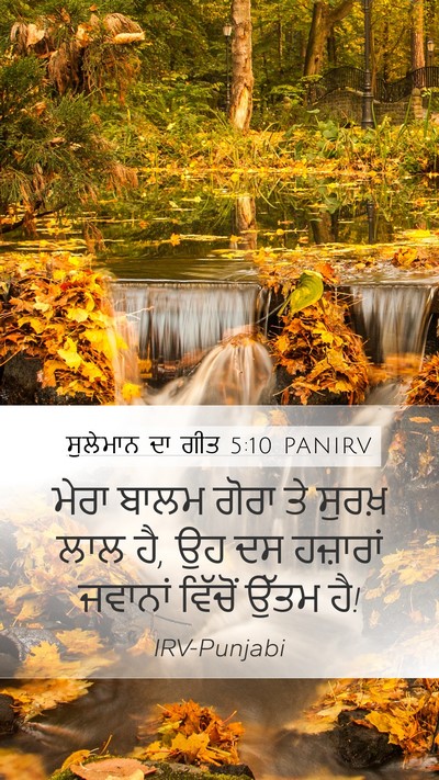 ਸੁਲੇਮਾਨ ਦਾ ਗੀਤ 5:10 PANIRV Mobile Phone Wallpaper - ਮੇਰਾ ਬਾਲਮ ਗੋਰਾ ਤੇ - Mobile Bible Verse Wallpaper