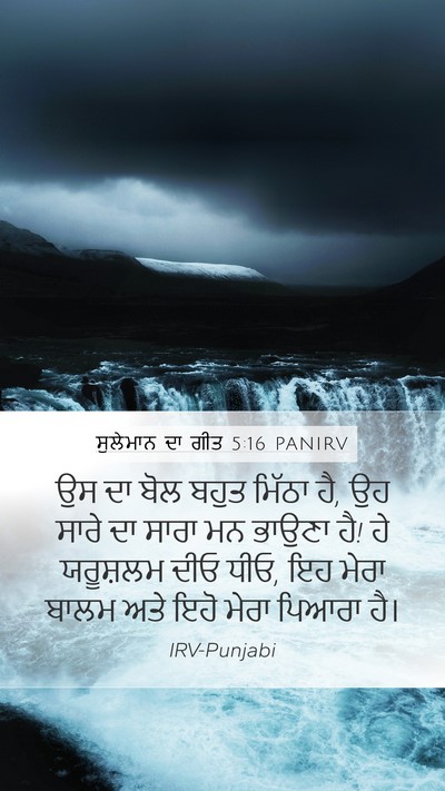 ਸੁਲੇਮਾਨ ਦਾ ਗੀਤ 5:16 PANIRV Bible Verse Image