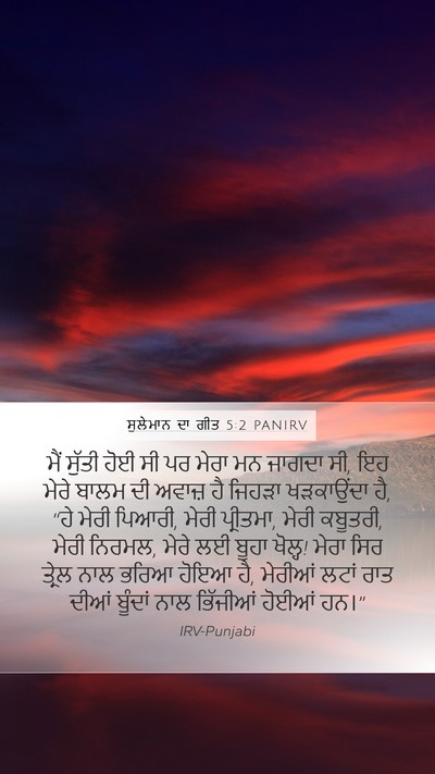 ਸੁਲੇਮਾਨ ਦਾ ਗੀਤ 5:2 PANIRV Bible Verse Image