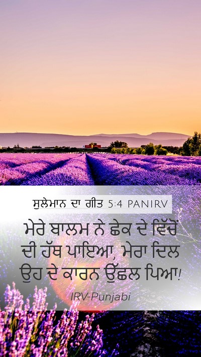 ਸੁਲੇਮਾਨ ਦਾ ਗੀਤ 5:4 PANIRV Mobile Phone Wallpaper - ਮੇਰੇ ਬਾਲਮ ਨੇ ਛੇਕ ਦੇ - Mobile Bible Verse Wallpaper