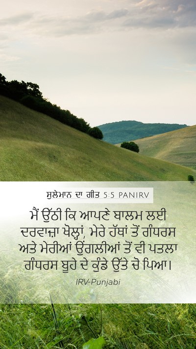 ਸੁਲੇਮਾਨ ਦਾ ਗੀਤ 5:5 PANIRV Bible Verse Image