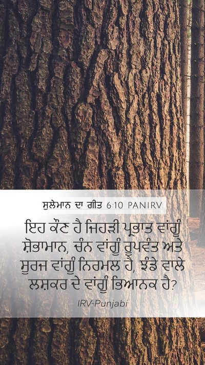 ਸੁਲੇਮਾਨ ਦਾ ਗੀਤ 6:10 PANIRV Bible Verse Image