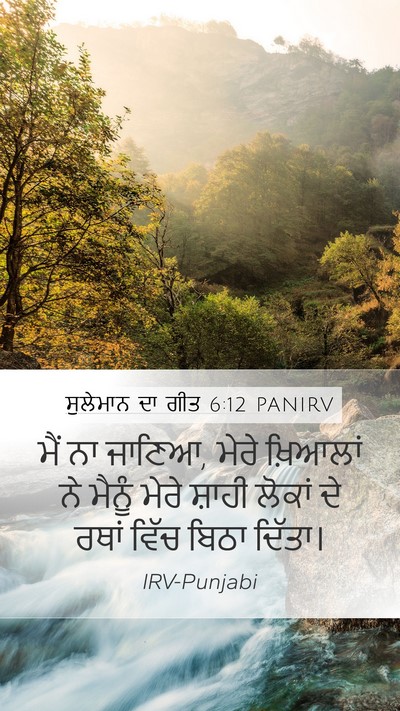 ਸੁਲੇਮਾਨ ਦਾ ਗੀਤ 6:12 PANIRV Mobile Phone Wallpaper - ਮੈਂ ਨਾ ਜਾਣਿਆ, ਮੇਰੇ - Mobile Bible Verse Wallpaper