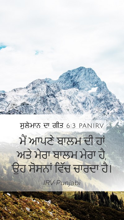ਸੁਲੇਮਾਨ ਦਾ ਗੀਤ 6:3 PANIRV Mobile Phone Wallpaper - ਮੈਂ ਆਪਣੇ ਬਾਲਮ ਦੀ - Mobile Bible Verse Wallpaper