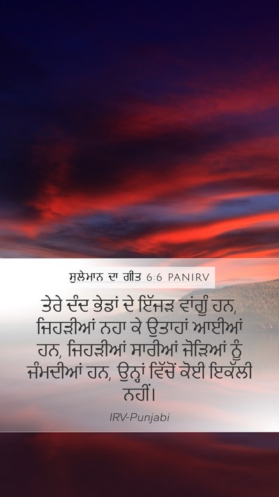 ਸੁਲੇਮਾਨ ਦਾ ਗੀਤ 6:6 PANIRV Bible Verse Image