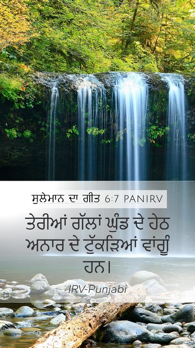 ਸੁਲੇਮਾਨ ਦਾ ਗੀਤ 6:7 PANIRV Bible Verse Image