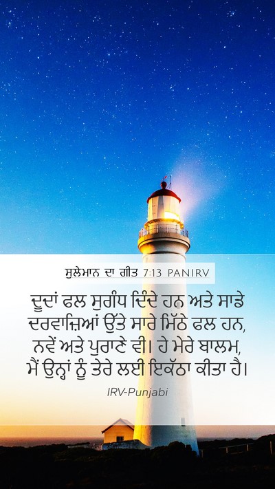 ਸੁਲੇਮਾਨ ਦਾ ਗੀਤ 7:13 PANIRV Bible Verse Image
