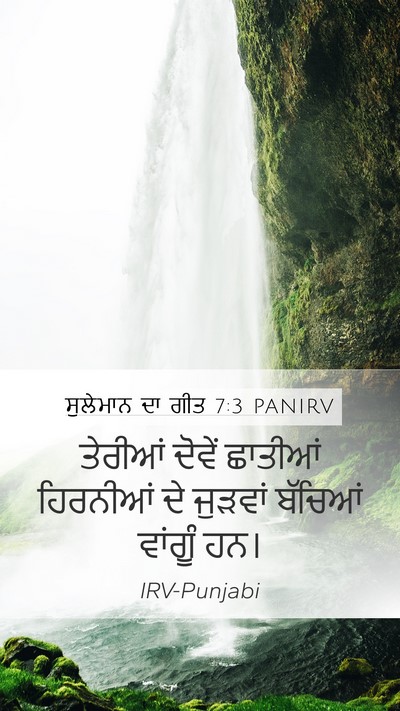 ਸੁਲੇਮਾਨ ਦਾ ਗੀਤ 7:3 PANIRV Bible Verse Image