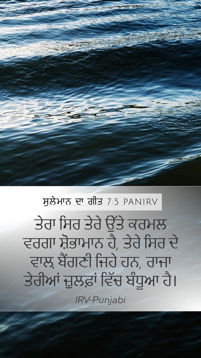ਸੁਲੇਮਾਨ ਦਾ ਗੀਤ 7:5 PANIRV Bible Verse Image