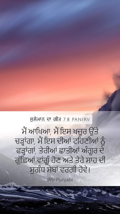 ਸੁਲੇਮਾਨ ਦਾ ਗੀਤ 7:8 PANIRV Bible Verse Image