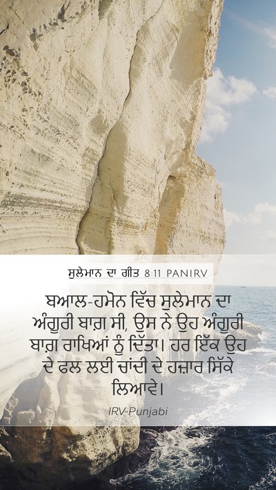 ਸੁਲੇਮਾਨ ਦਾ ਗੀਤ 8:11 PANIRV Bible Verse Image