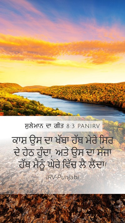 ਸੁਲੇਮਾਨ ਦਾ ਗੀਤ 8:3 PANIRV Bible Verse Image