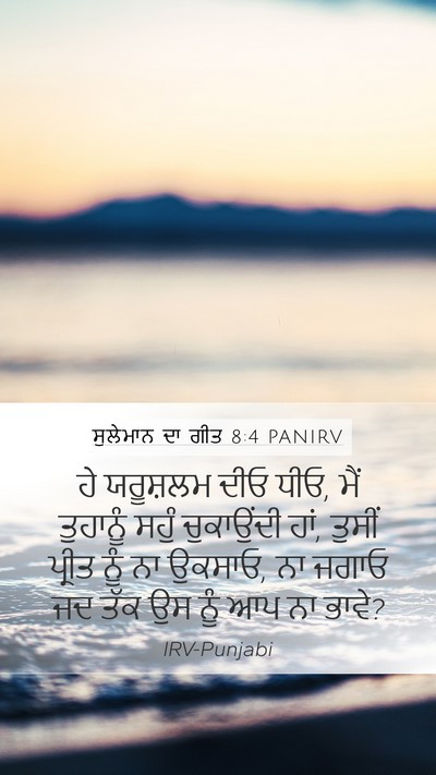 ਸੁਲੇਮਾਨ ਦਾ ਗੀਤ 8:4 PANIRV Bible Verse Image