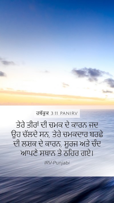 ਹਬੱਕੂਕ 3:11 PANIRV Bible Verse Image