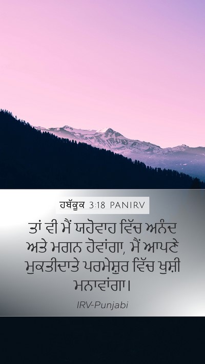 ਹਬੱਕੂਕ 3:18 PANIRV Bible Verse Image