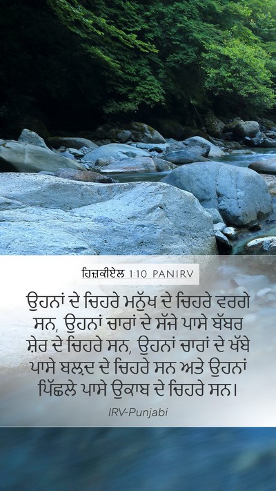 ਹਿਜ਼ਕੀਏਲ 1:10 PANIRV Bible Verse Image