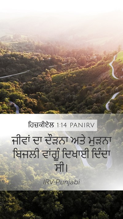 ਹਿਜ਼ਕੀਏਲ 1:14 PANIRV Bible Verse Image