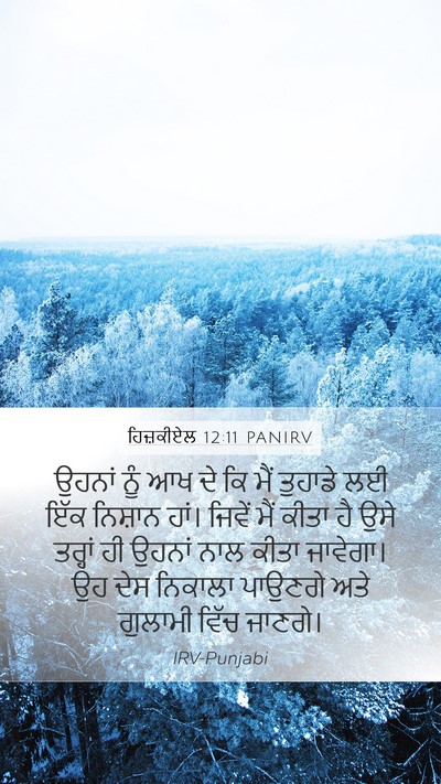 ਹਿਜ਼ਕੀਏਲ 12:11 PANIRV Bible Verse Image