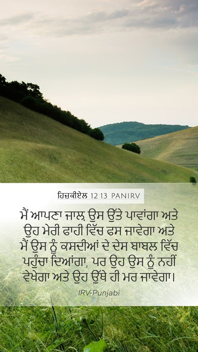 ਹਿਜ਼ਕੀਏਲ 12:13 PANIRV Bible Verse Image