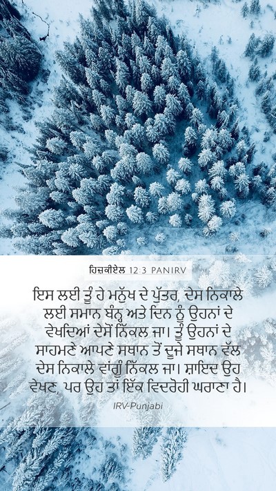 ਹਿਜ਼ਕੀਏਲ 12:3 PANIRV Bible Verse Image