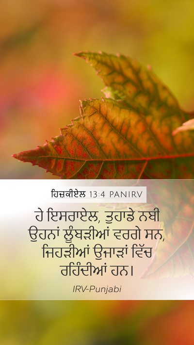ਹਿਜ਼ਕੀਏਲ 13:4 PANIRV Bible Verse Image