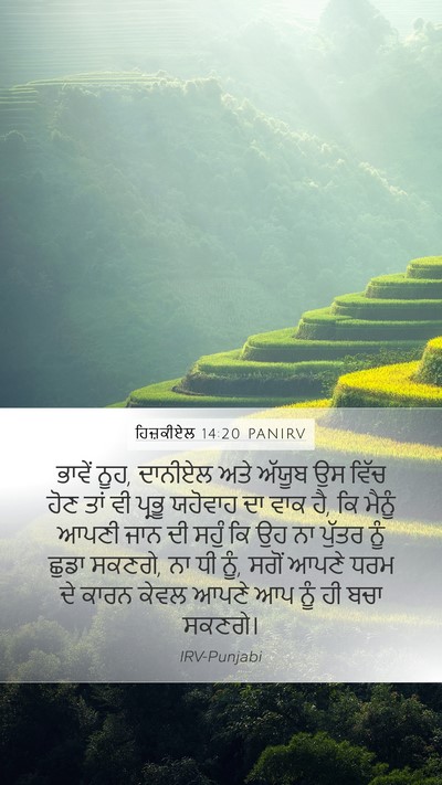 ਹਿਜ਼ਕੀਏਲ 14:20 PANIRV Bible Verse Image
