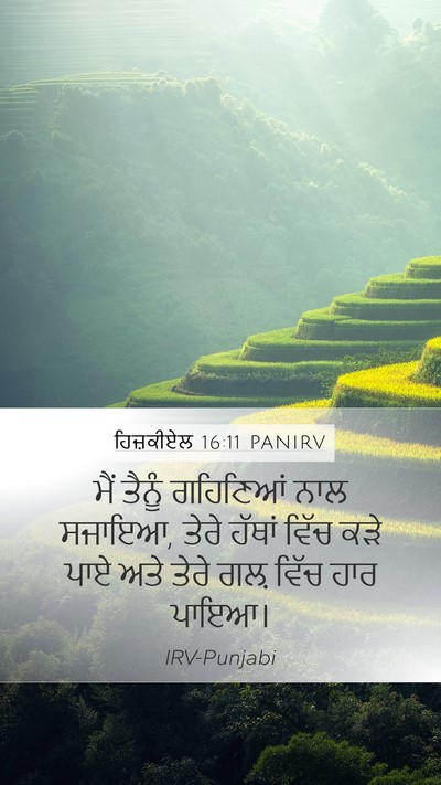 ਹਿਜ਼ਕੀਏਲ 16:11 PANIRV Bible Verse Image