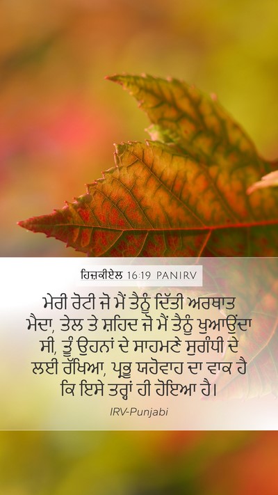 ਹਿਜ਼ਕੀਏਲ 16:19 PANIRV Mobile Phone Wallpaper - ਮੇਰੀ ਰੋਟੀ ਜੋ ਮੈਂ - Mobile Bible Verse Wallpaper