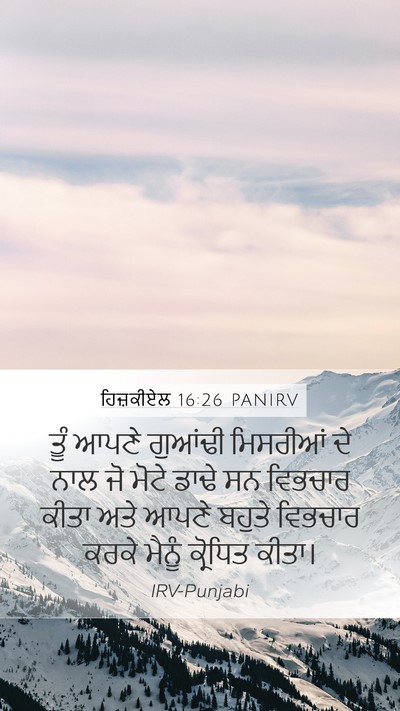 ਹਿਜ਼ਕੀਏਲ 16:26 PANIRV Bible Verse Image