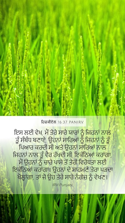 ਹਿਜ਼ਕੀਏਲ 16:37 PANIRV Bible Verse Image